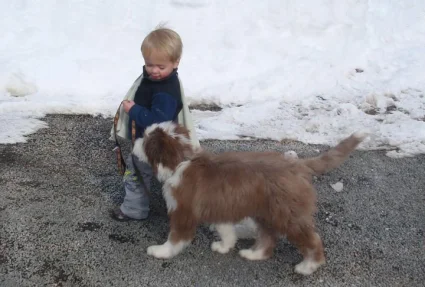 Baby-Luke-Baby-Frapper-2-lighten-q1yn2soym1oxbbuu9zcl5dtqjxulfjf61y0cnpt8xi